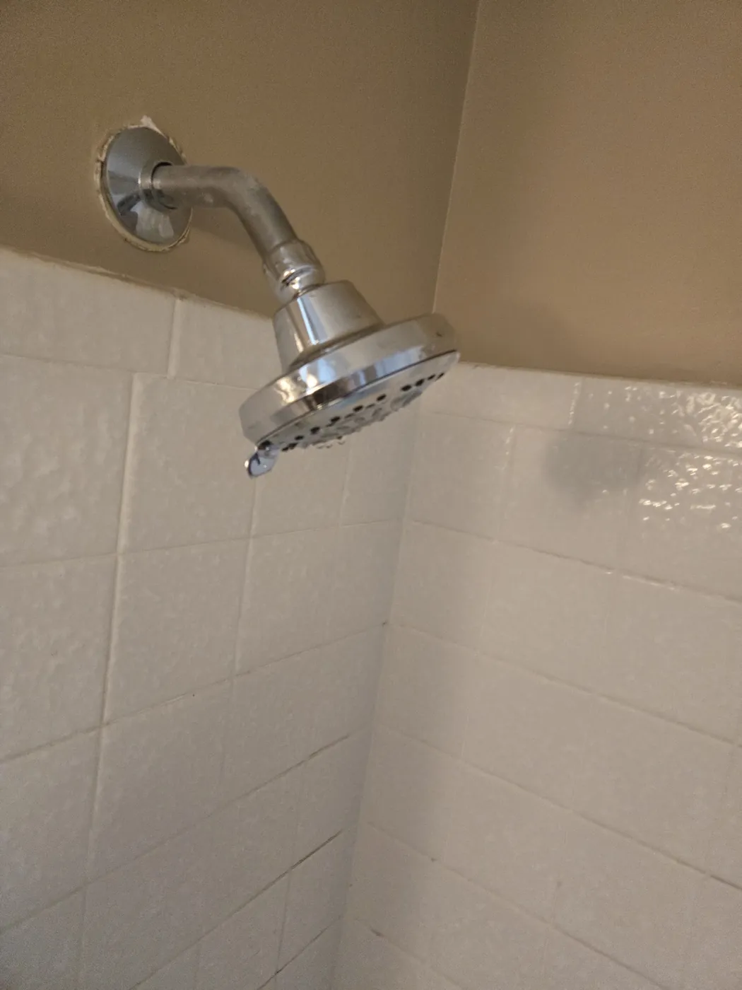Chrome shower head installed on a tiled shower wall