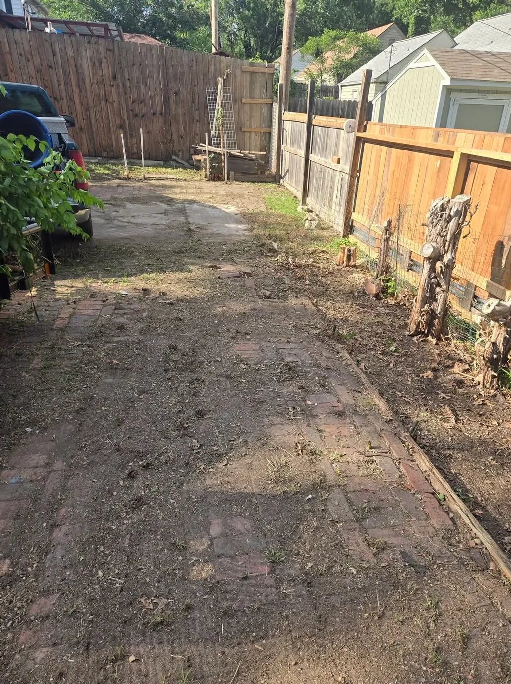 Side yard along a wood fence cleared of overgrowth