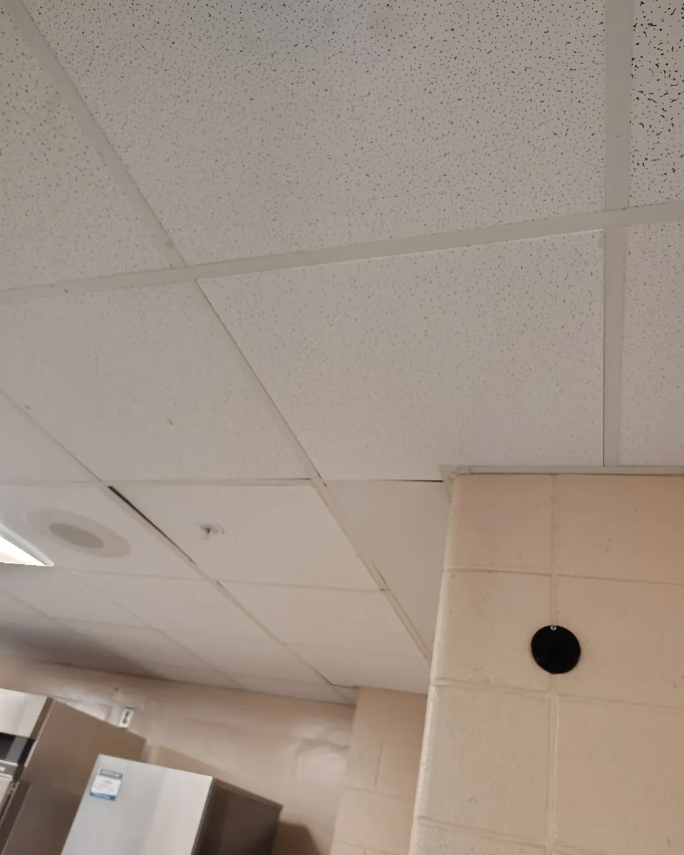 Finished drop ceiling with replaced tiles in an office