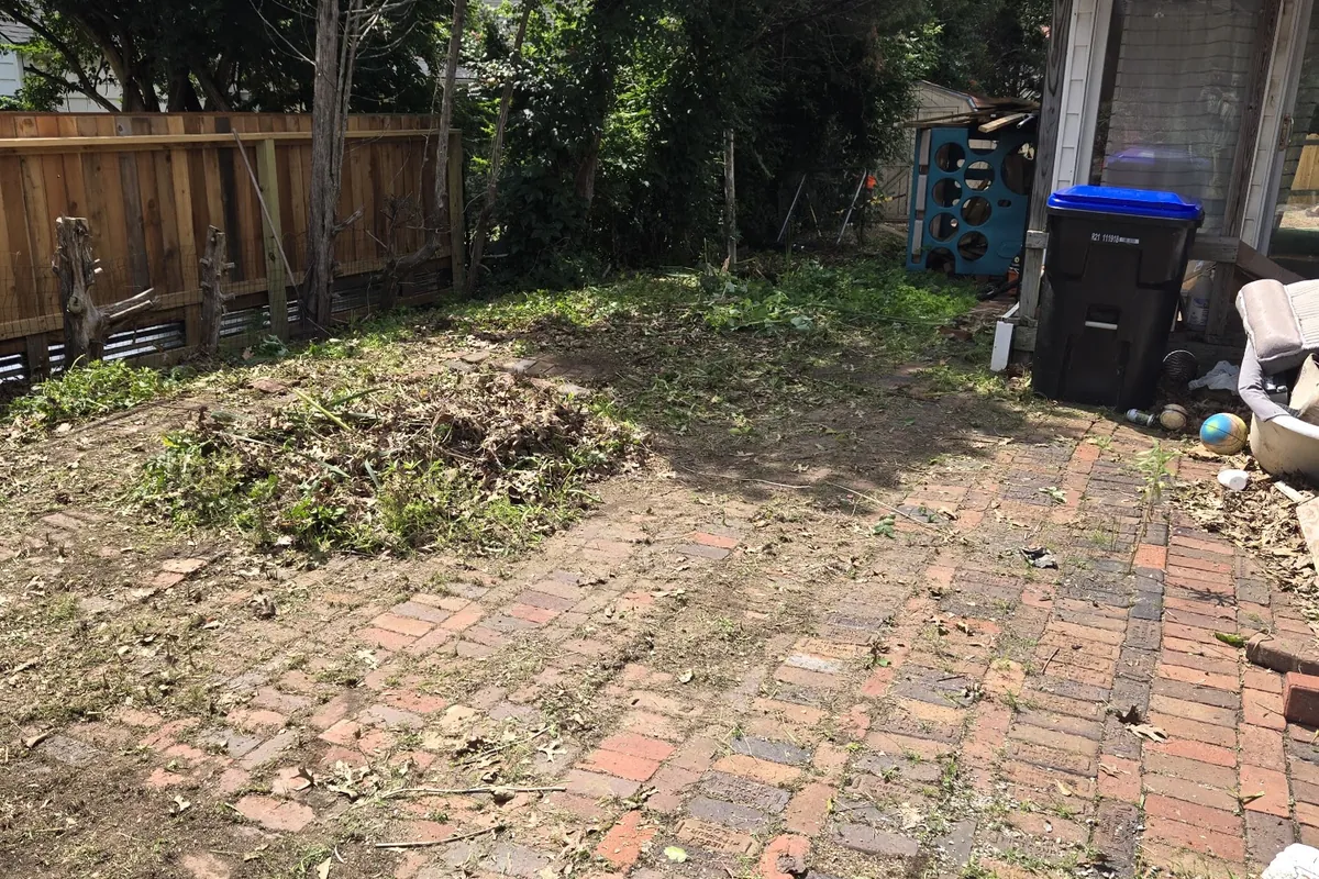 Backyard and brick path cleared of overgrowth and debris