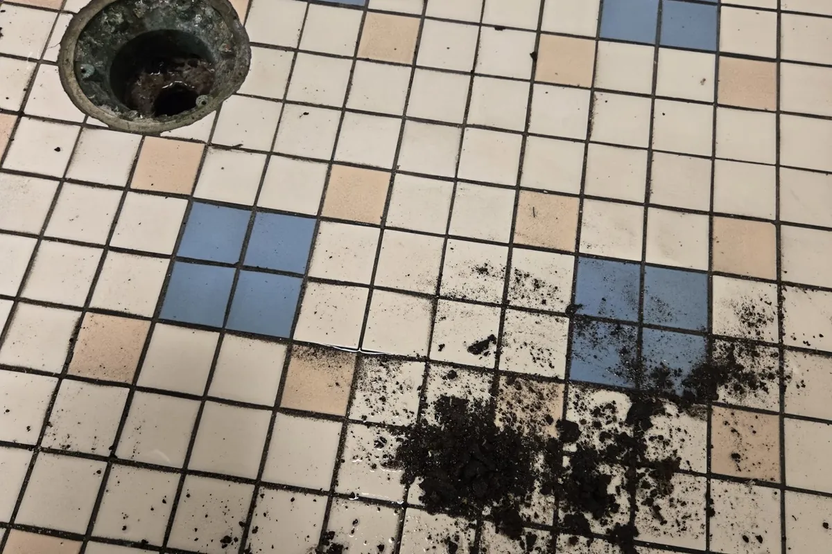 Floor drain with debris cleared from the line